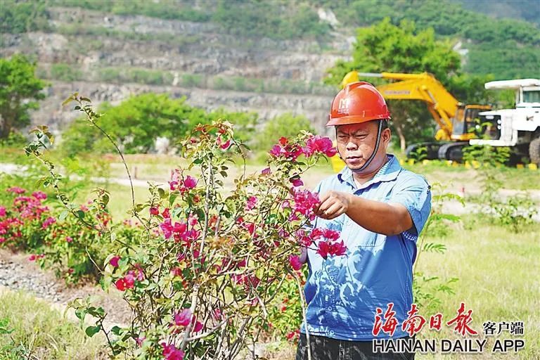 海南这座矿山，为何这么绿？4.jpg